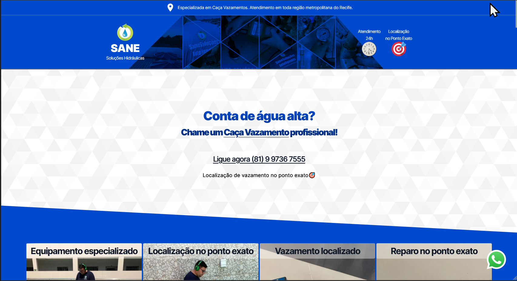 Sane website mobile